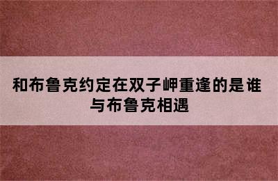 和布鲁克约定在双子岬重逢的是谁 与布鲁克相遇